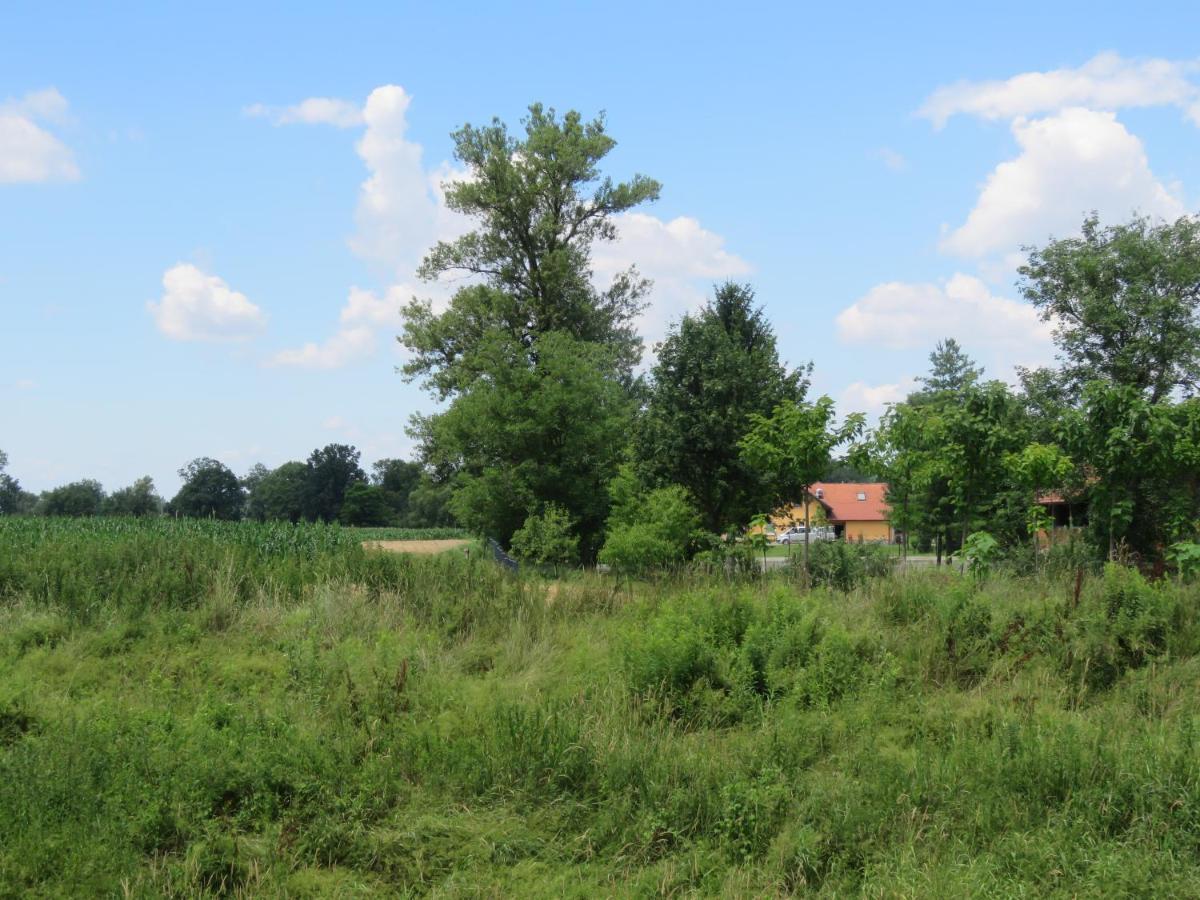 Mill House Apartment And Camping Ljutomer Luaran gambar