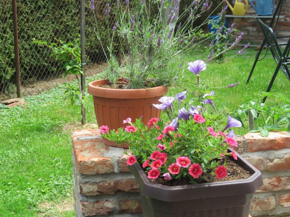 Mill House Apartment And Camping Ljutomer Luaran gambar