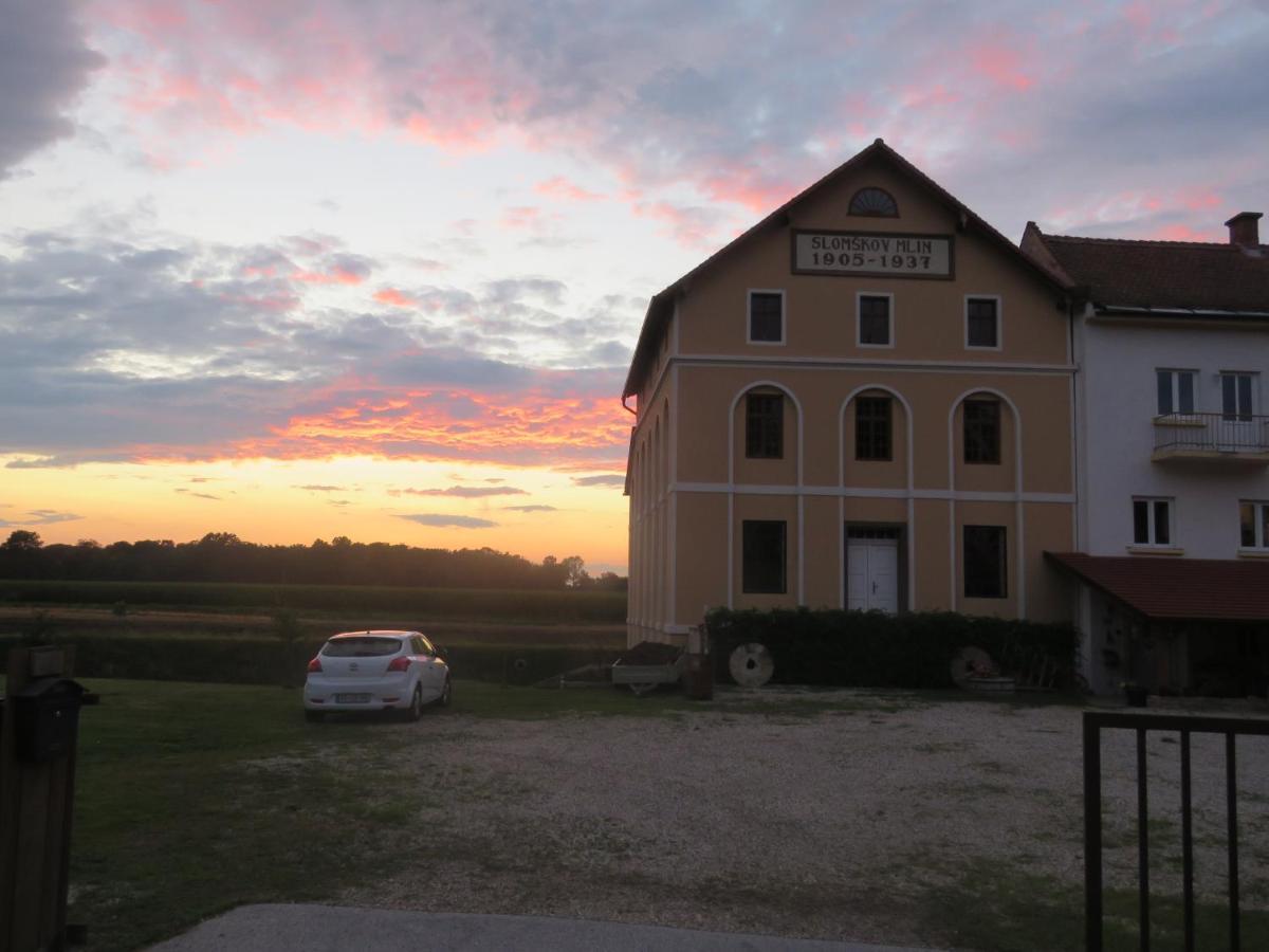 Mill House Apartment And Camping Ljutomer Luaran gambar