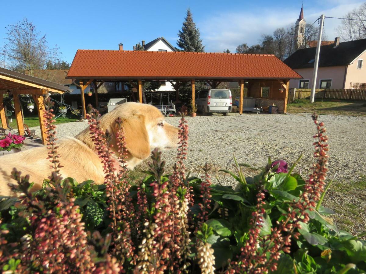 Mill House Apartment And Camping Ljutomer Luaran gambar